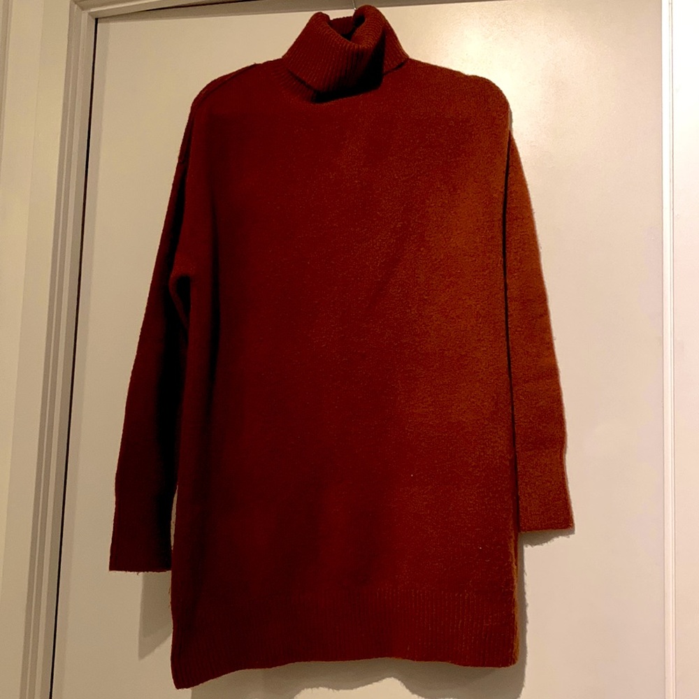 Turtle neck tunic/dress